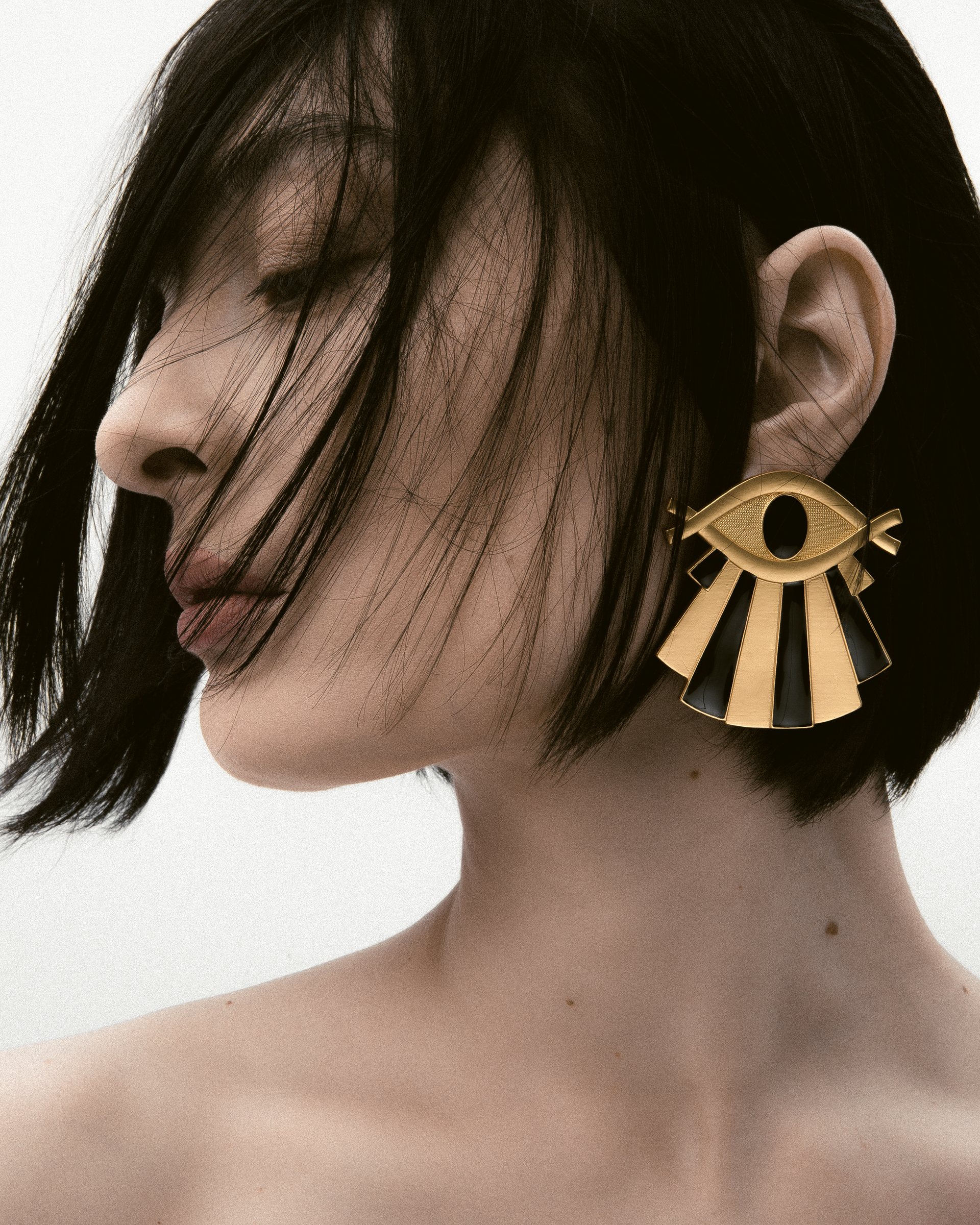 Tigers Eye Earrings